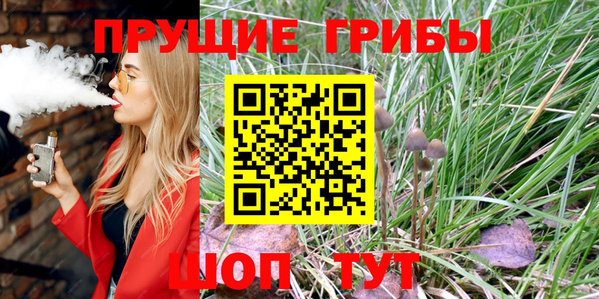 Галлюциногенные грибы Psilocybine cubensis Чайковский
