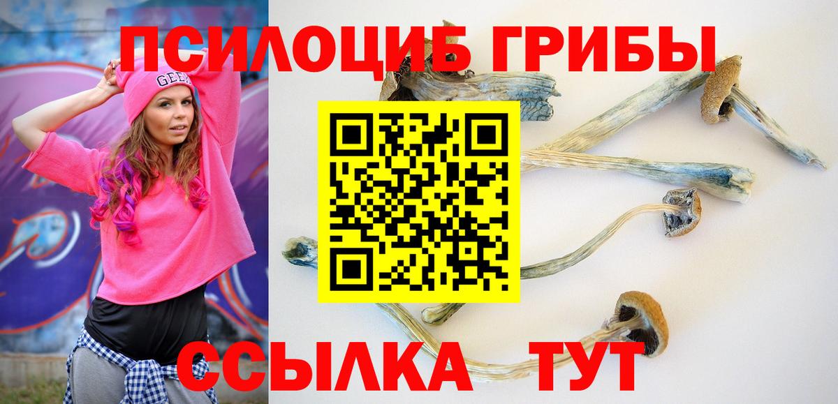 Чайковский  Псилоцибиновые грибы Cubensis  Псилоцибиновые грибы мицелий  Вход с VPN 